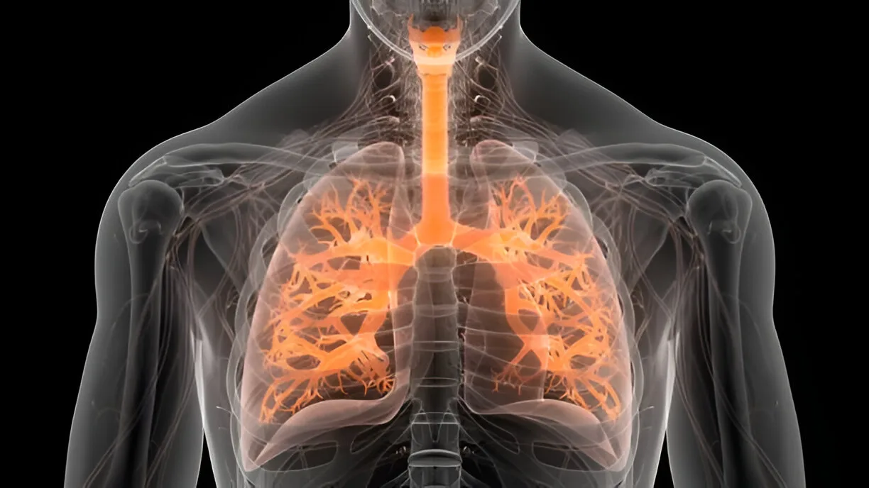 Pulmonology